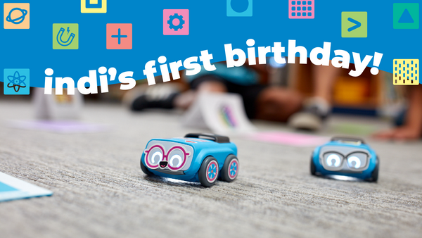 It’s indi’s First Birthday! Let’s Party.