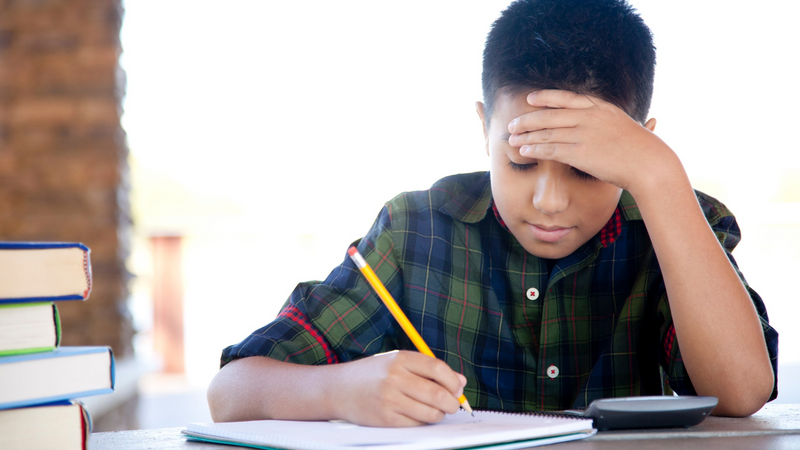 Learning to Juggle Life's Lessons: A Balancing Act of Knowledge