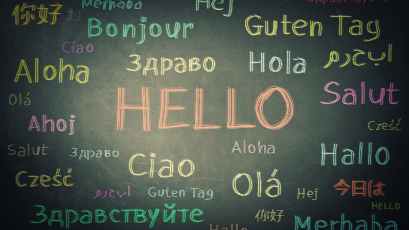Multilingual learning strategies are designed to acknowledge diversity and celebrate it in the classroom.