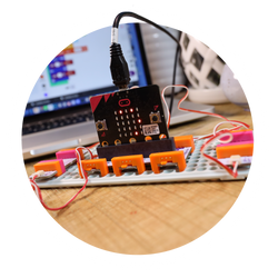 Little bits best sale toys