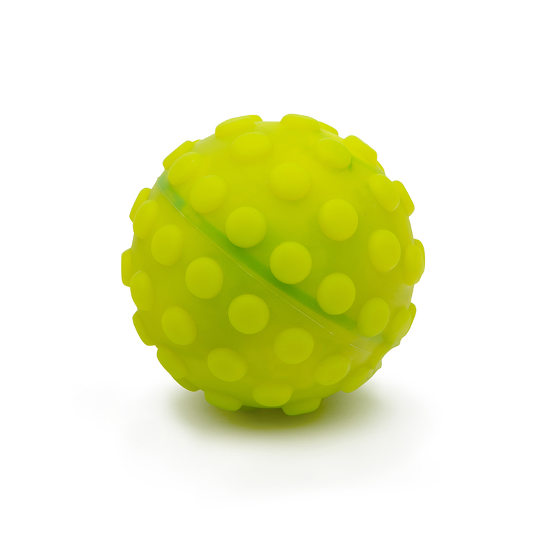 Sphero mini case sales